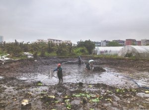 孙吴河道鱼塘清淤